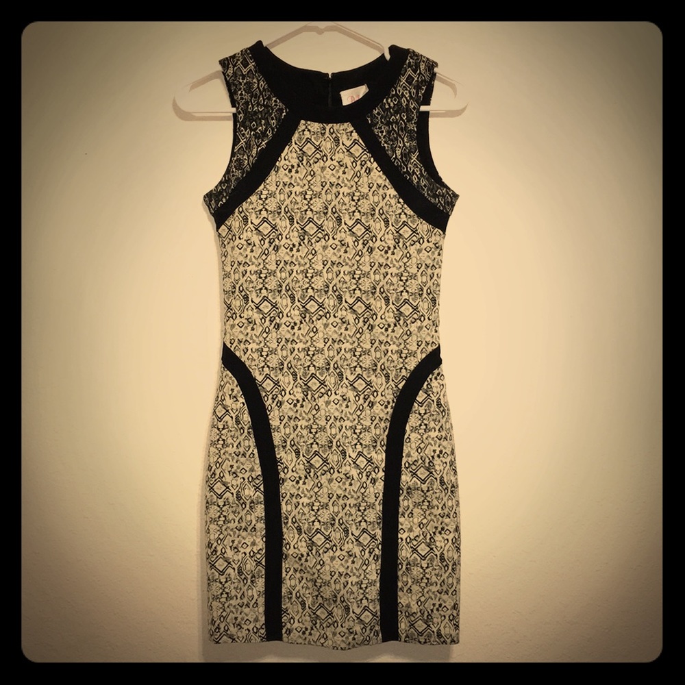 B&W Parker dress!!